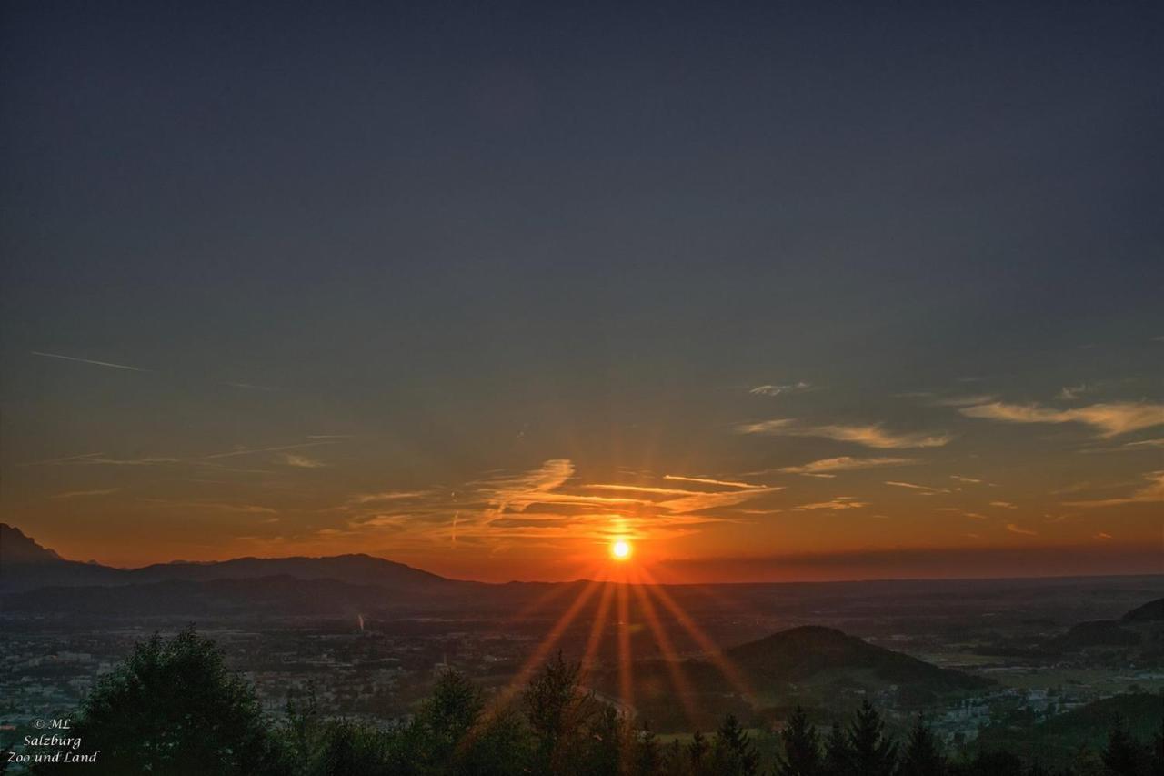 Panoramagasthof Daxlueg Σάλτσμπουργκ Εξωτερικό φωτογραφία